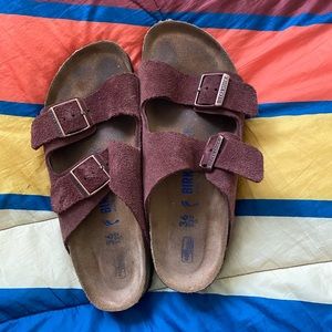 Birkenstock Arizona Limited Edition Sandal - 36